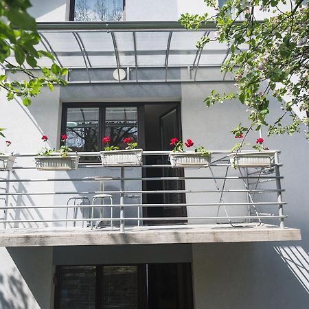 Guest House Sokodream Сокобаня Экстерьер фото