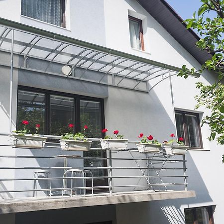 Guest House Sokodream Сокобаня Экстерьер фото