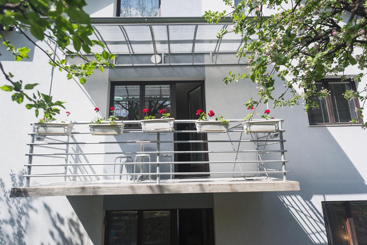 Guest House Sokodream Сокобаня Экстерьер фото